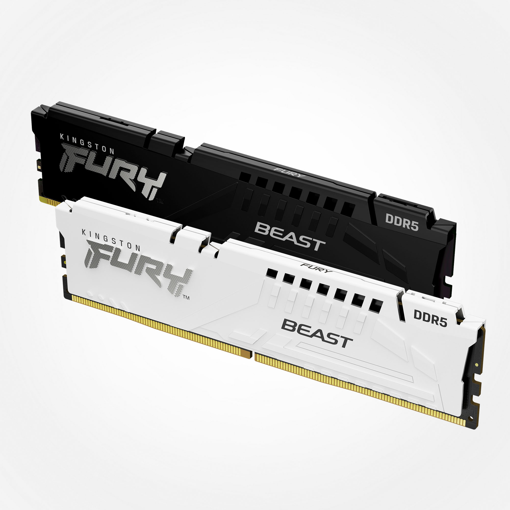 Kingston FURY™ Beast DDR5 memória