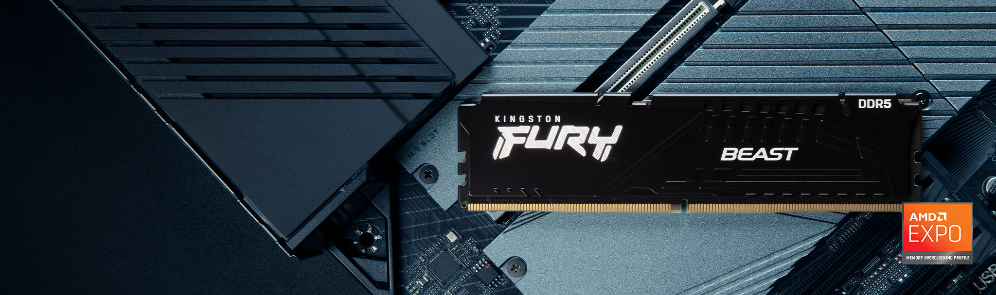 Kingston FURY™ Beast DDR5 memória, AMD EXPO tanúsítvánnyal