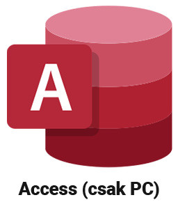 MS Access icon