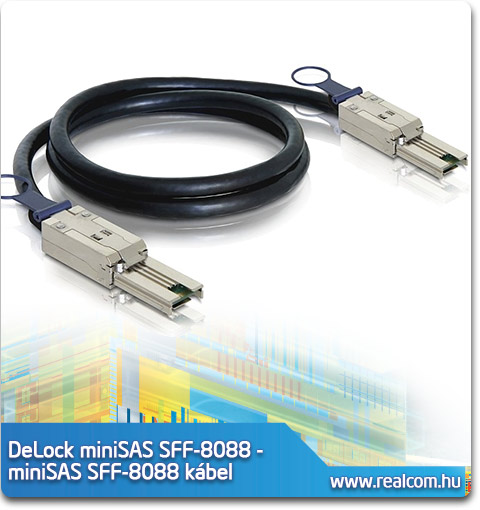 DeLock Cable miniSAS SFF-8088 to miniSAS SFF-8088 (1m)